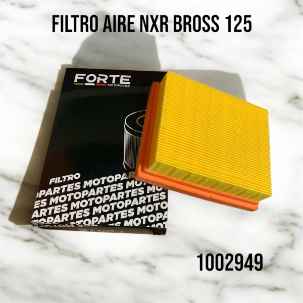 FILTRO AIRE SKUA 150 -125 BROSS FORTE