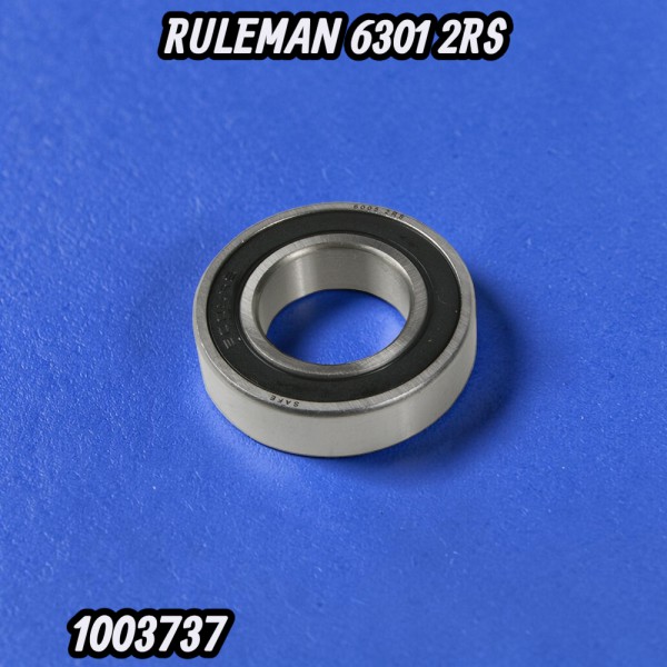RULEMAN 6301 2RS SAFE