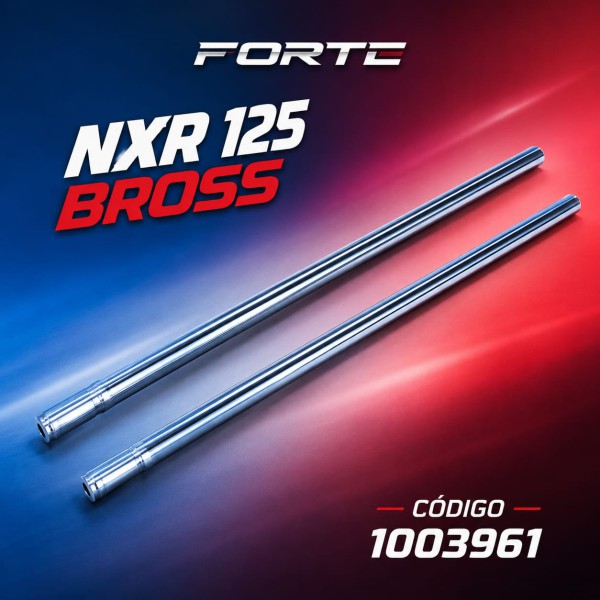 BARRALES SUSPENSION INTERNO BROSS 125 JGO  FORTE