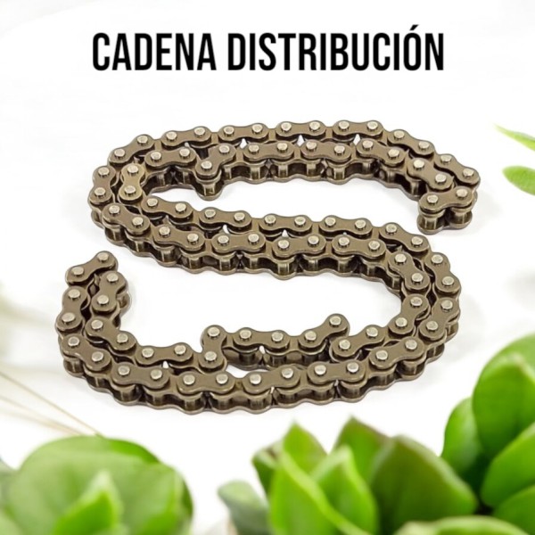 CADENA DISTRIBUCION ROUSER 220 25H X 100L DNA