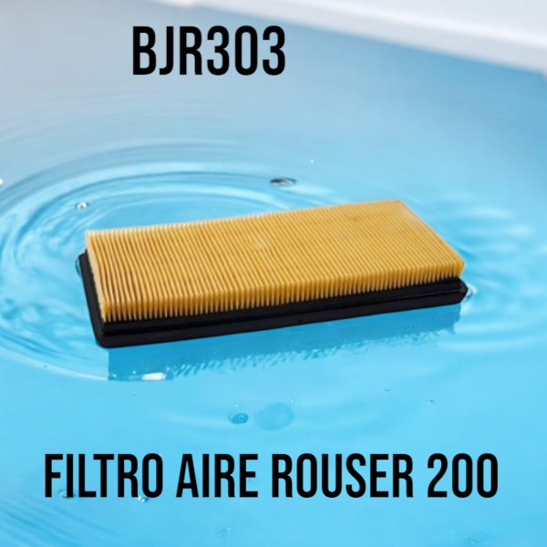 FILTRO DE AIRE BJ ROUSER 200 CC TOWO