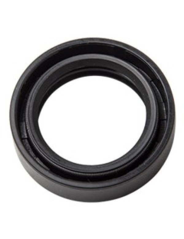 RETEN  SUSPENSION + GUARDAP STORM CG 150 TITAN TOWO