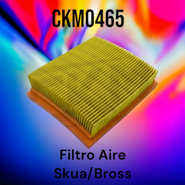 FILTRO AIRE SKUA 150/BROSS 125 CKM