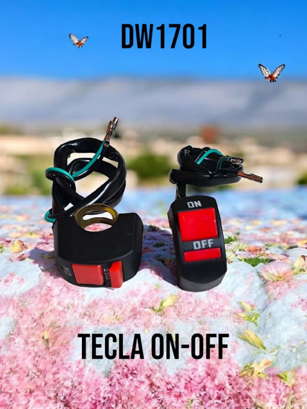 FICHA LLAVE TECLA ON-OFF MOTO AMIKO