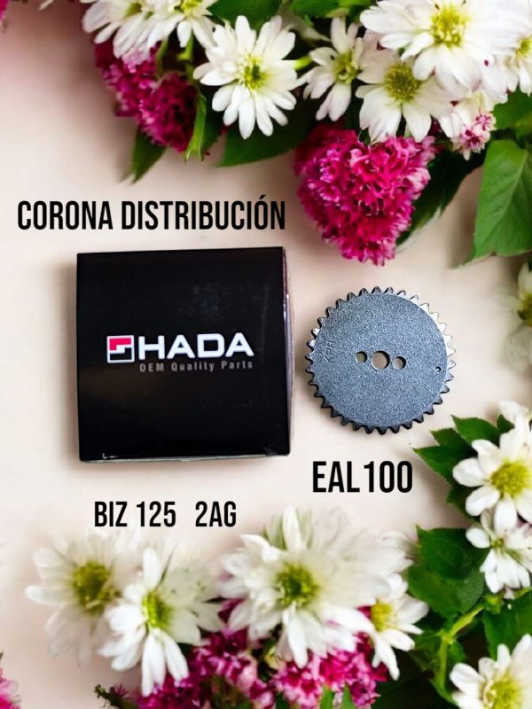 CORONA DISTRIBUCION H.BIZ 125  Z34/2AG. HADA