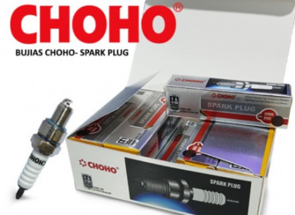 BUJIA(D8EA) ZN RX150- CHOHO