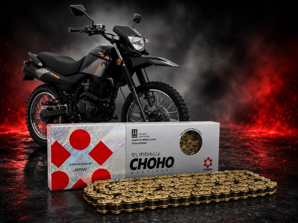 CADENA 428 H x 136  - DORADA  CHOHO