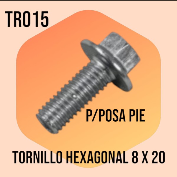BULON 8X20 POSA PIE ARANDELADO-NITRO