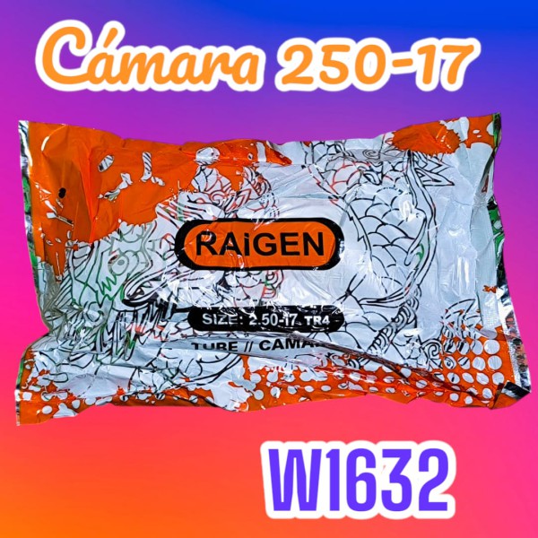 CAMARA RAIGEN 250 -17 - RAIGEN
