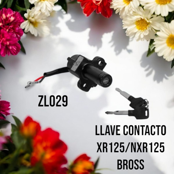 LLAVE CONTACTO HD XR125L / HD NXR125 BROSS TOWO